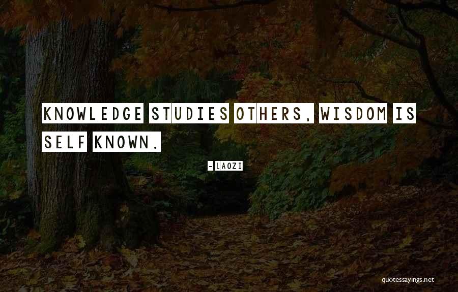 Axholme Quilting Quotes By Laozi Axholme Quilting Quotes By Laozi
