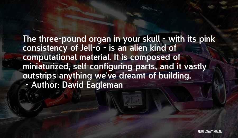 Axils Gelule Quotes By David Eagleman