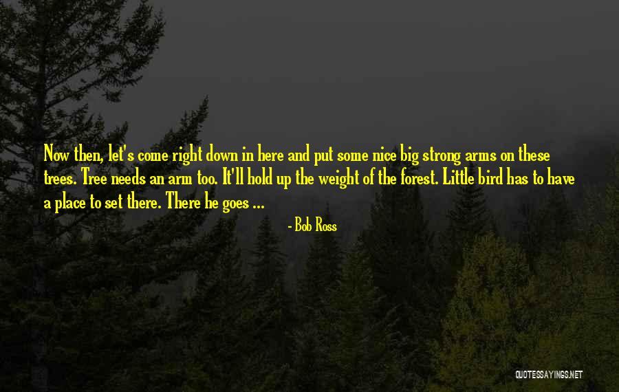 Axles For Trailers Quotes By Bob Ross Axles For Trailers Quotes By Bob Ross