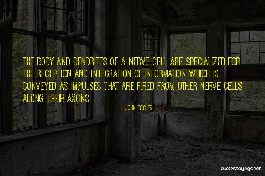 Axons And Dendrites Quotes By John Eccles Axons And Dendrites Quotes By John Eccles