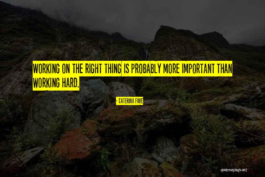 Axons Psychology Quotes By Caterina Fake Axons Psychology Quotes By Caterina Fake
