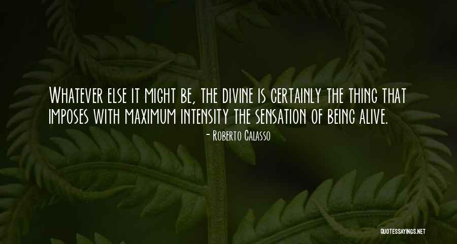 Ayat Khalili Quotes By Roberto Calasso Ayat Khalili Quotes By Roberto Calasso