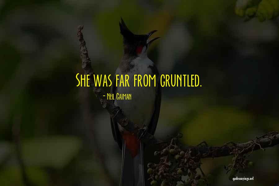 Ayazi Farrokh Quotes By Neil Gaiman