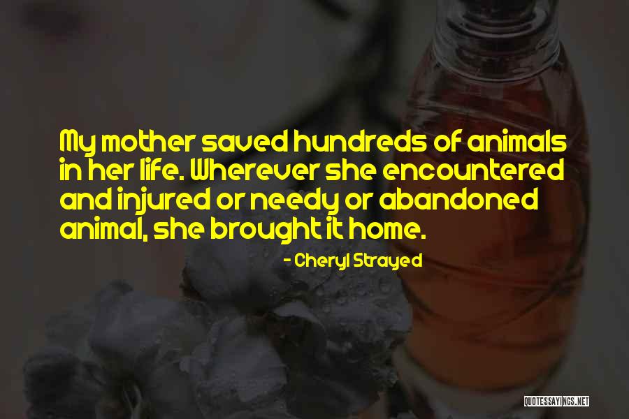 Aydakikedi Quotes By Cheryl Strayed Aydakikedi Quotes By Cheryl Strayed