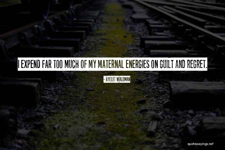 Ayelet Waldman Quotes 1089465 Ayelet Waldman Quotes 1089465
