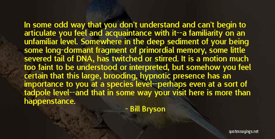 Ayers Rock Quotes By Bill Bryson