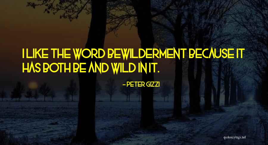 Ayew Andre Quotes By Peter Gizzi Ayew Andre Quotes By Peter Gizzi