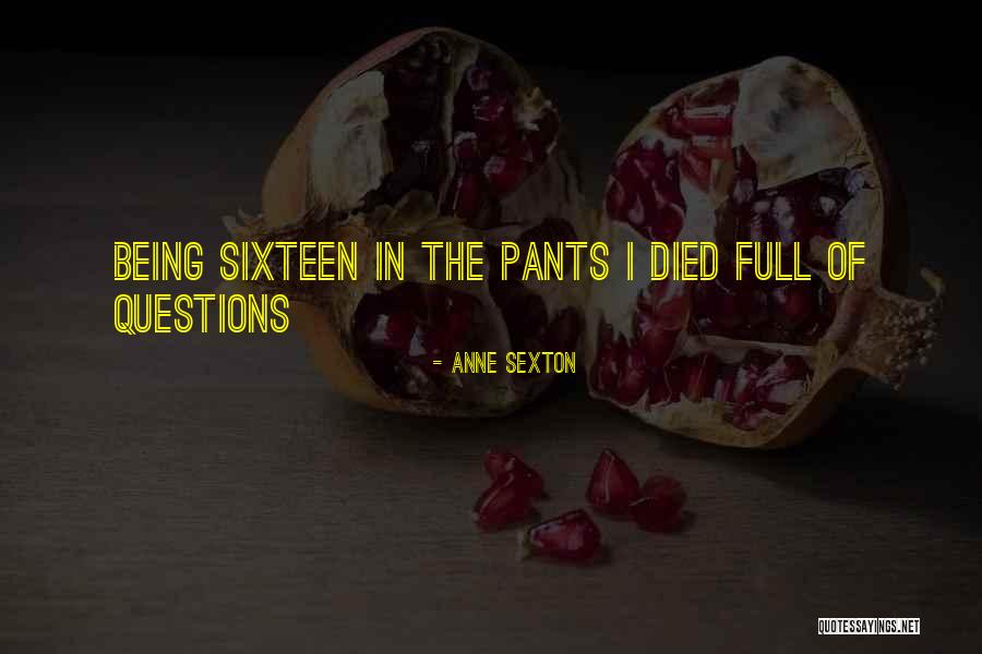 Aygul Khatoon Quotes By Anne Sexton Aygul Khatoon Quotes By Anne Sexton