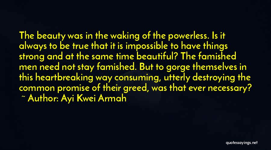 Ayi Kwei Armah Quotes 2170339