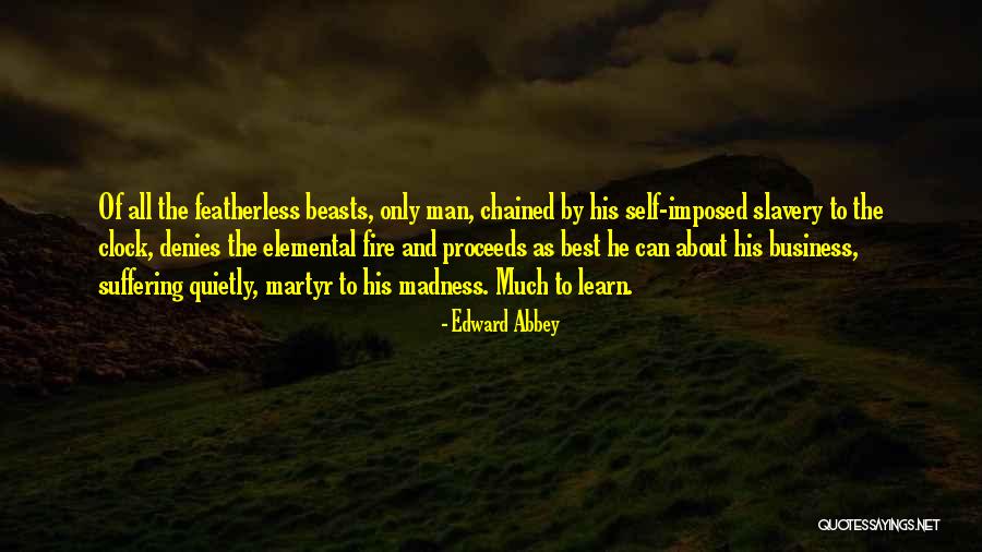 Aymath Quotes By Edward Abbey Aymath Quotes By Edward Abbey