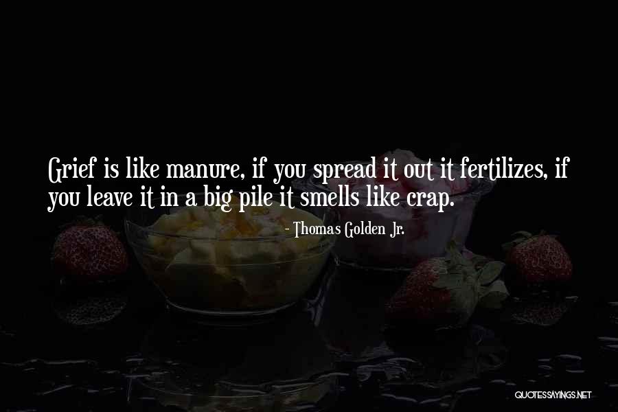 Aymonino Pilotta Quotes By Thomas Golden Jr. Aymonino Pilotta Quotes By Thomas Golden Jr.