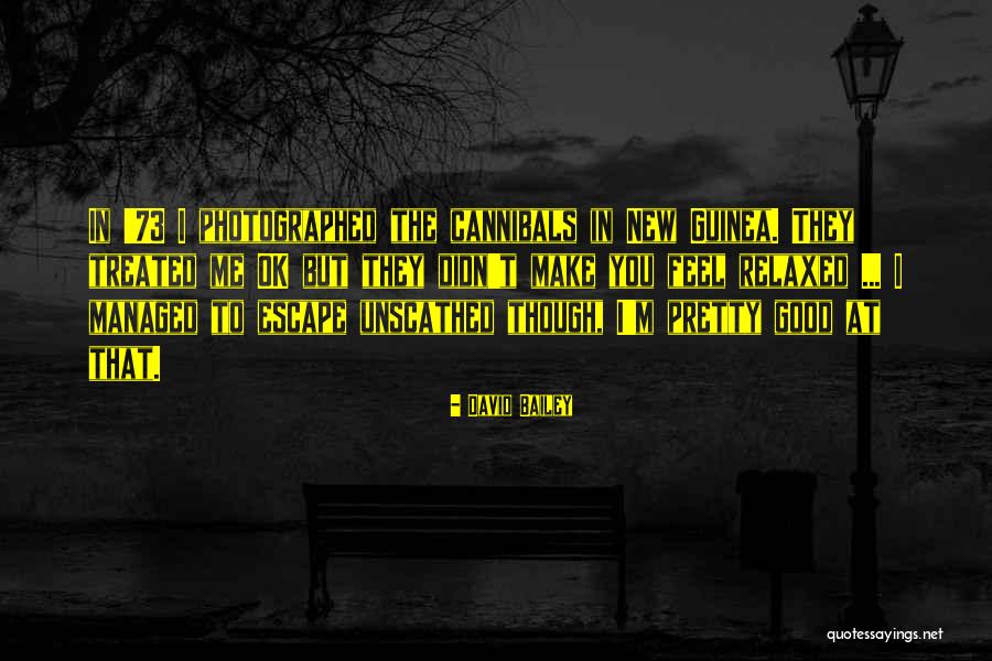 Aynare Quotes By David Bailey Aynare Quotes By David Bailey