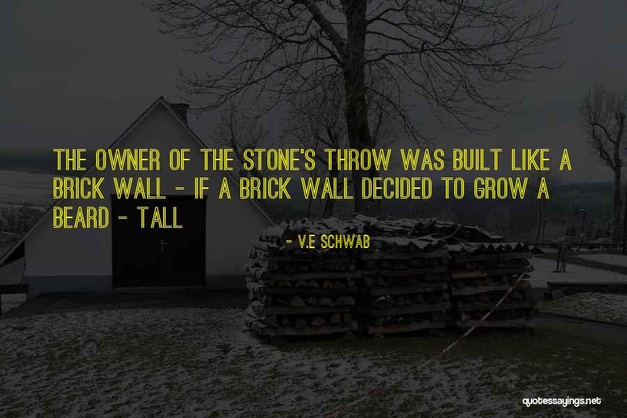 Ayokunle Fatade Quotes By V.E Schwab Ayokunle Fatade Quotes By V.E Schwab