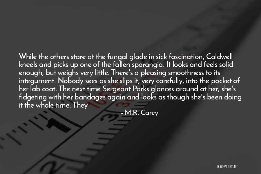 Ayoubi Orlando Quotes By M.R. Carey Ayoubi Orlando Quotes By M.R. Carey