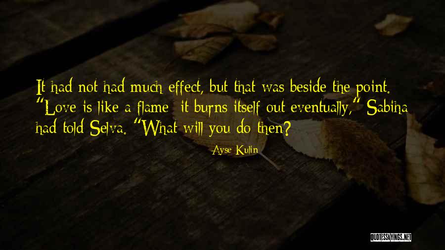 Ayse Kulin Quotes 186717