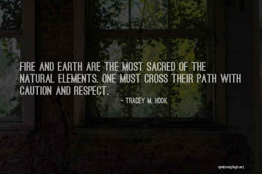 Ayse Tezel Quotes By Tracey M. Hook Ayse Tezel Quotes By Tracey M. Hook