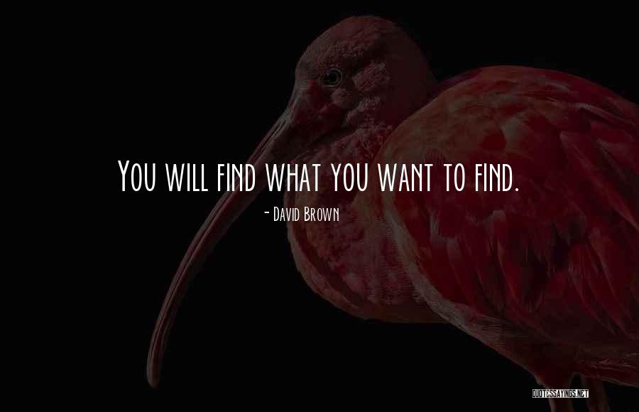 Aysel Ismayilova Quotes By David Brown Aysel Ismayilova Quotes By David Brown