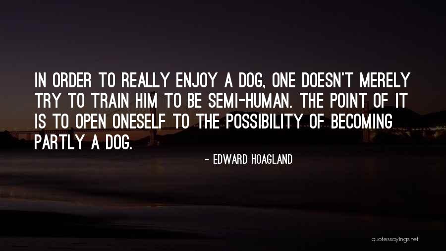 Aysenur Quotes By Edward Hoagland Aysenur Quotes By Edward Hoagland