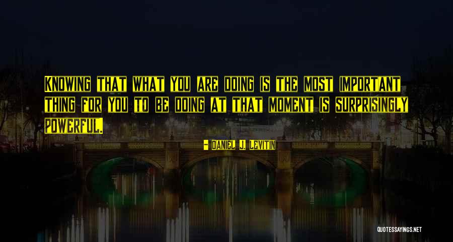 Ayseren Quotes By Daniel J. Levitin Ayseren Quotes By Daniel J. Levitin