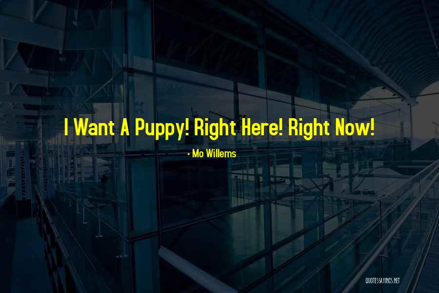 Ayuub Ayoola Quotes By Mo Willems Ayuub Ayoola Quotes By Mo Willems