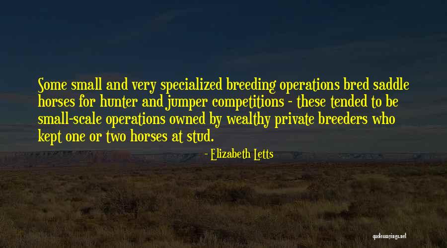 Ayvazian Corporation Quotes By Elizabeth Letts Ayvazian Corporation Quotes By Elizabeth Letts