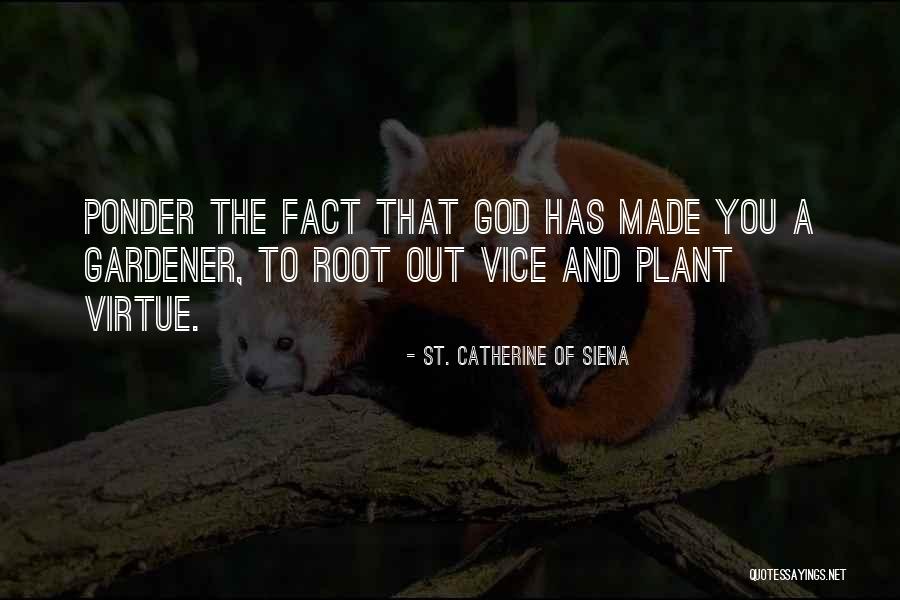 Azagaia Povo Quotes By St. Catherine Of Siena Azagaia Povo Quotes By St. Catherine Of Siena