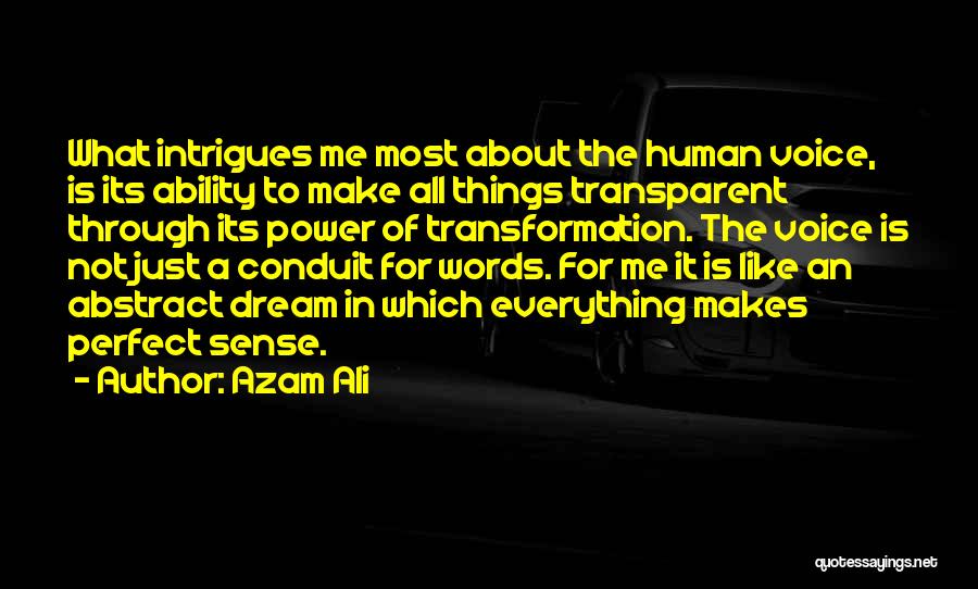 Azam Ali Quotes 1580015