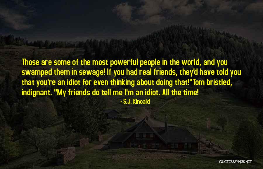 Azamft Quotes By S.J. Kincaid Azamft Quotes By S.J. Kincaid