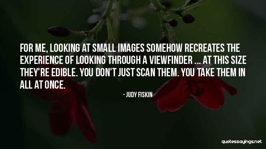 Azcarraga Televisa Quotes By Judy Fiskin Azcarraga Televisa Quotes By Judy Fiskin