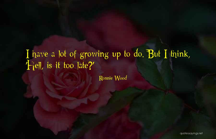 Azizim Mp3 Quotes By Ronnie Wood Azizim Mp3 Quotes By Ronnie Wood
