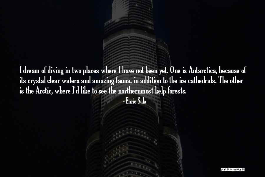 Azlynn Ali Quotes By Enric Sala Azlynn Ali Quotes By Enric Sala