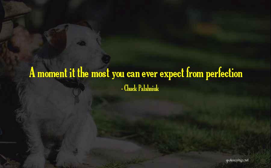 Azokoe Quotes By Chuck Palahniuk Azokoe Quotes By Chuck Palahniuk