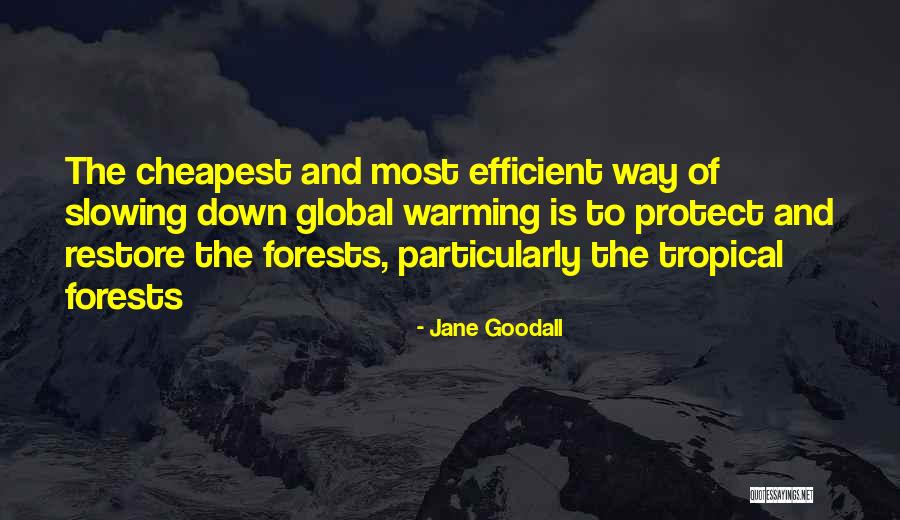 Azoury Ivf Quotes By Jane Goodall Azoury Ivf Quotes By Jane Goodall