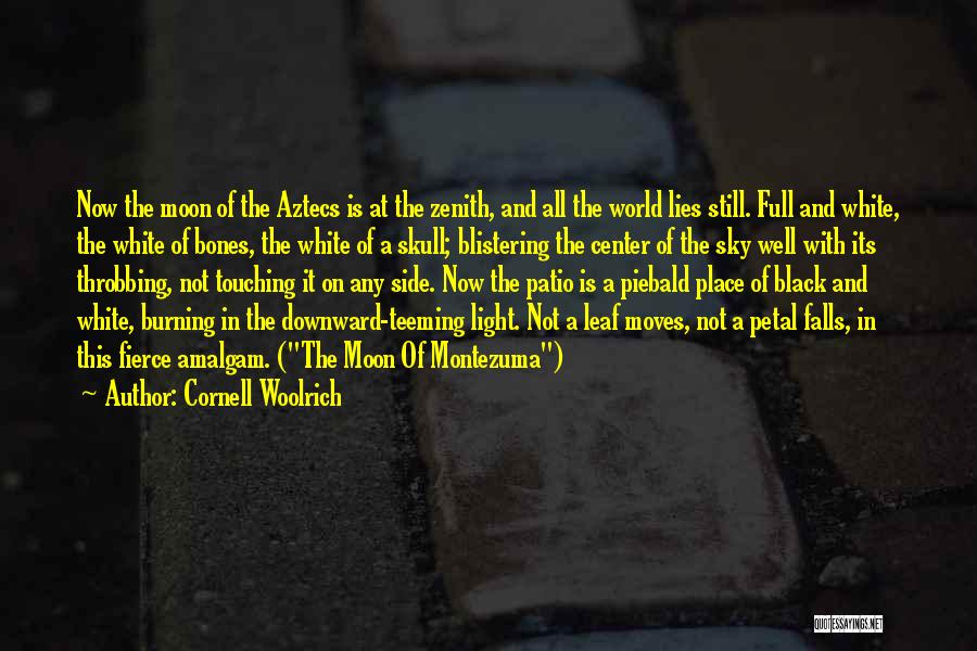 Aztecs Quotes By Cornell Woolrich