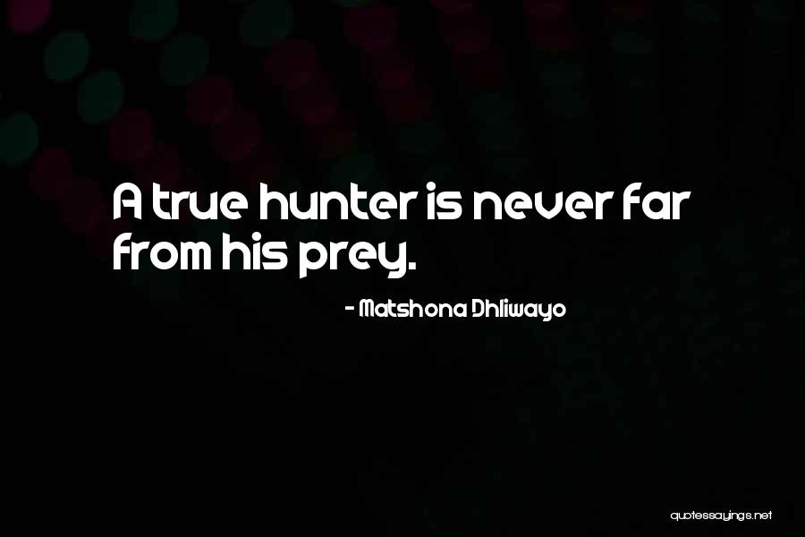 Azuresail Quotes By Matshona Dhliwayo Azuresail Quotes By Matshona Dhliwayo