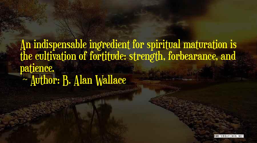 B. Alan Wallace Quotes 1897011