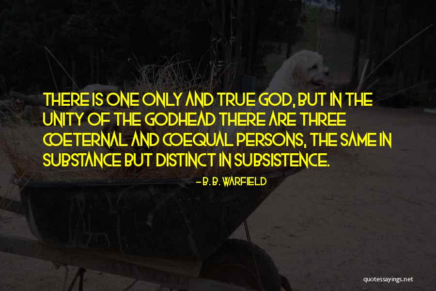 B. B. Warfield Quotes 1168311
