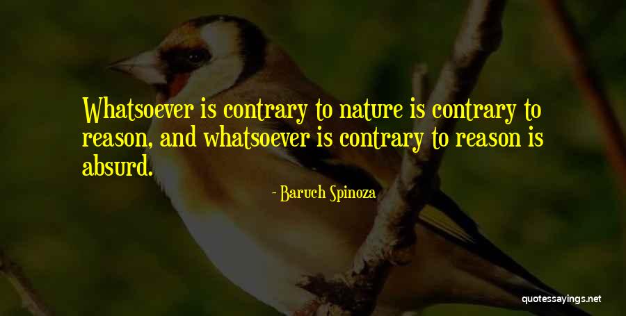 B Baruch Quotes By Baruch Spinoza B Baruch Quotes By Baruch Spinoza