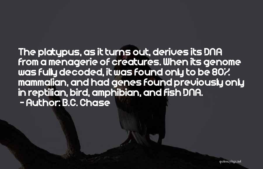 B.C. Chase Quotes 1920607