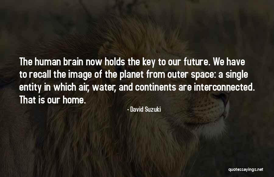 B C Ng Ib Nb Nh Du Ig Cc Y D Ul Ng Quotes By David Suzuki B C Ng Ib Nb Nh Du Ig Cc Y D Ul Ng Quotes By David Suzuki