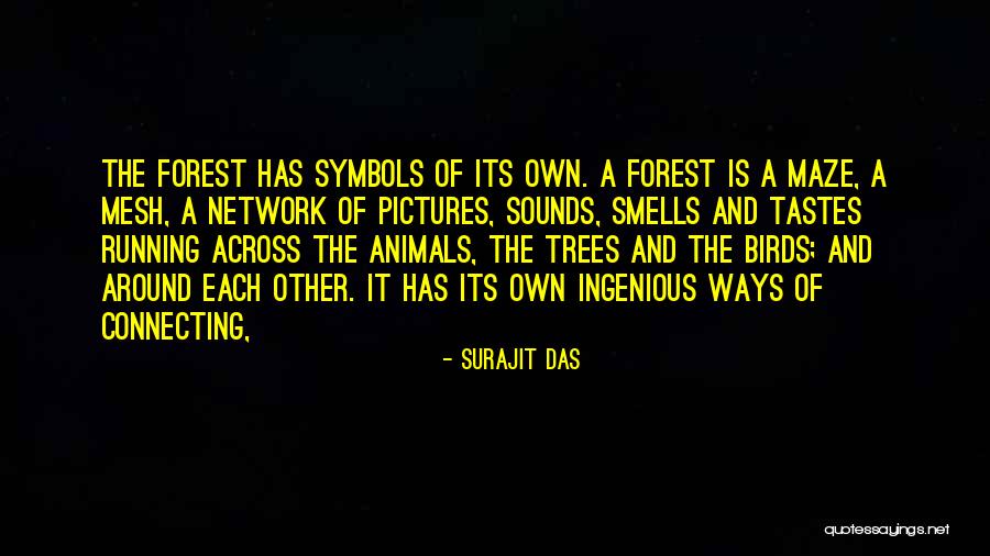 B C Ng Ib Nb Nh Du Ig Cc Y D Ul Ng Quotes By Surajit Das B C Ng Ib Nb Nh Du Ig Cc Y D Ul Ng Quotes By Surajit Das