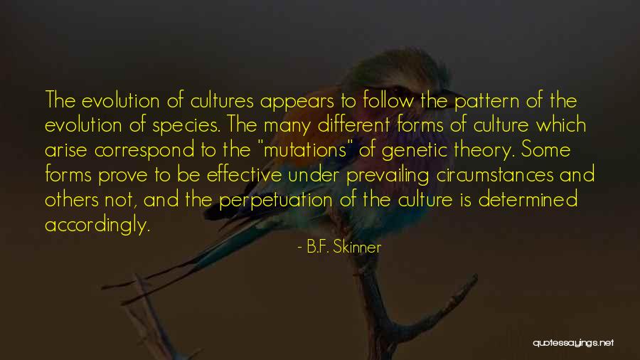 B F Skinner Theory Quotes By B.F. Skinner B F Skinner Theory Quotes By B.F. Skinner