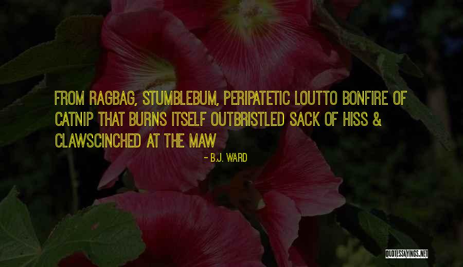 B.J. Ward Quotes 2063607 B.J. Ward Quotes 2063607