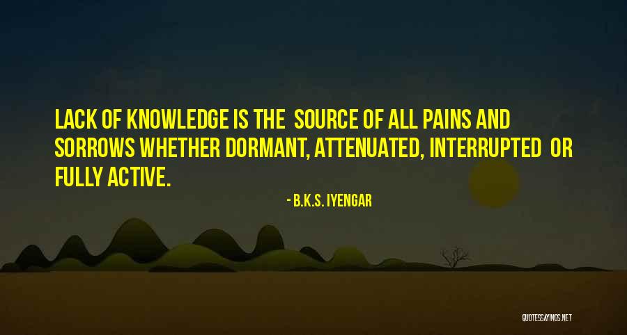 B.K.S. Iyengar Quotes 1103205