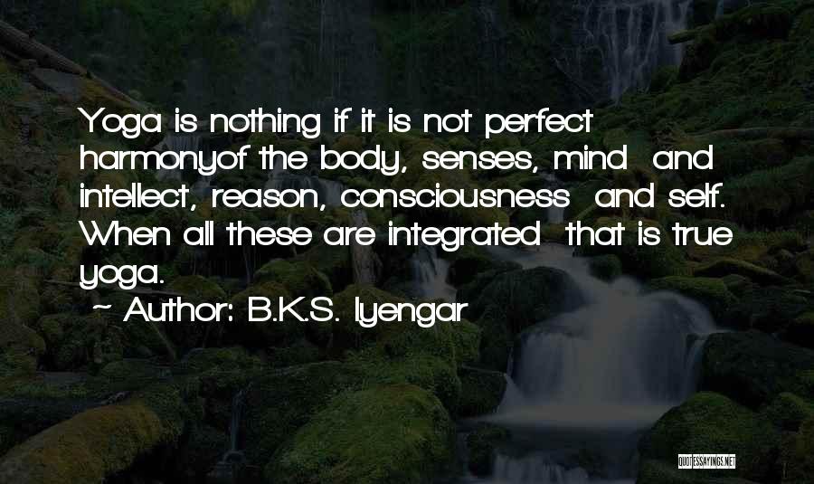 B.K.S. Iyengar Quotes 1274742