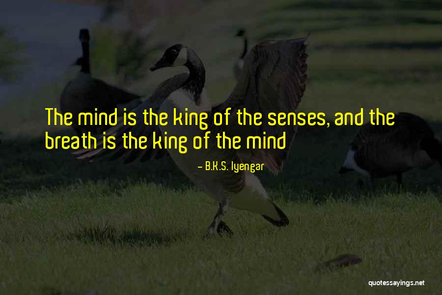 B.K.S. Iyengar Quotes 1304011 B.K.S. Iyengar Quotes 1304011