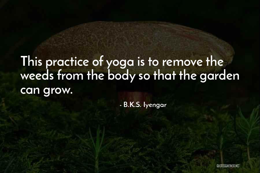 B.K.S. Iyengar Quotes 1316752 B.K.S. Iyengar Quotes 1316752