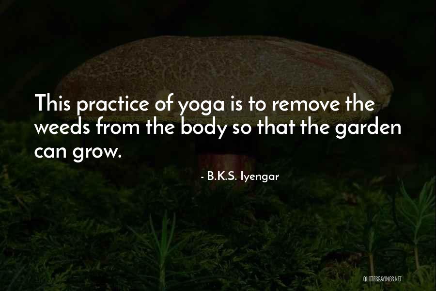 B.K.S. Iyengar Quotes 1316752