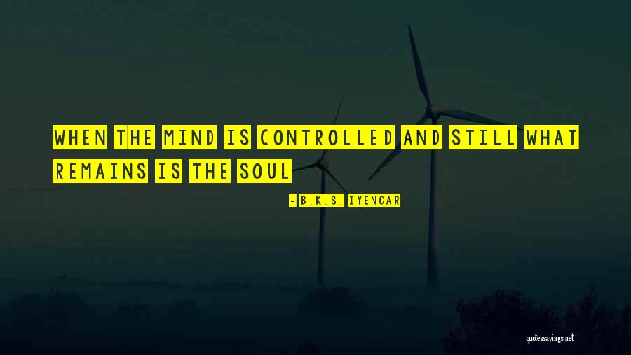 B.K.S. Iyengar Quotes 1536751 B.K.S. Iyengar Quotes 1536751