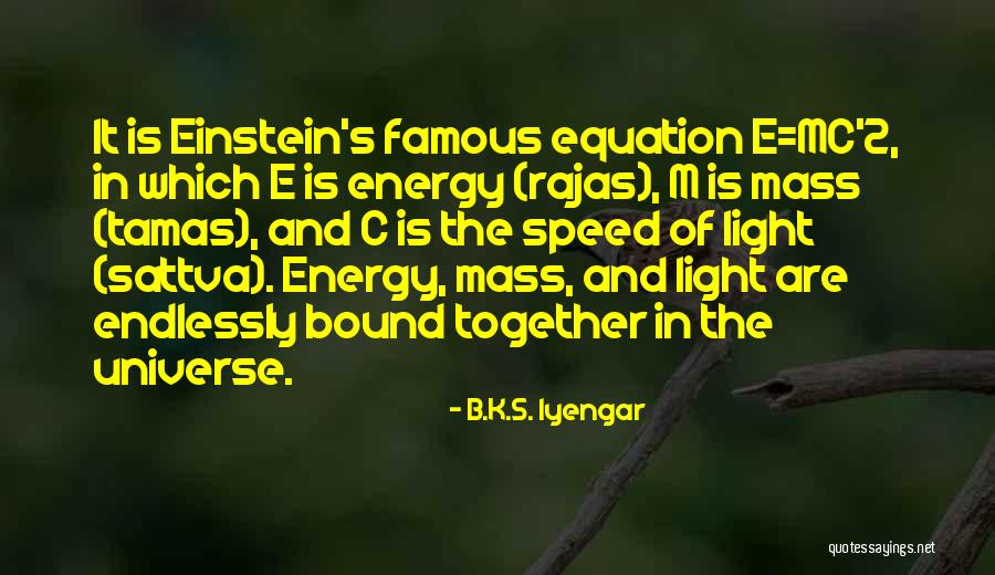 B.K.S. Iyengar Quotes 1909107